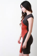 Color Panel Faux Suede Bodycon Dress